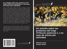 Bookcover of Un estudio sobre las proteínas del trigo (Triticum aestivum L.) en caso de estrés por salinidad