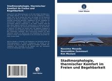Bookcover of Stadtmorphologie, thermischer Komfort im Freien und Begehbarkeit
