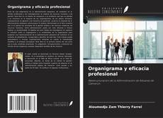 Buchcover von Organigrama y eficacia profesional