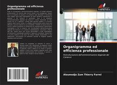 Обложка Organigramma ed efficienza professionale