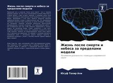 Portada del libro de Жизнь после смерти и небеса за пределами модели
