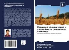 Portada del libro de Характер налива зерна и урожайность пшеницы и чечевицы