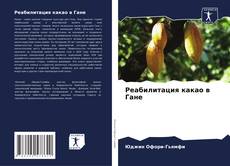 Реабилитация какао в Гане kitap kapağı