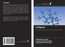 Bookcover of Colágeno