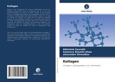 Capa do livro de Kollagen 