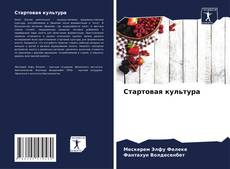 Bookcover of Стартовая культура