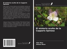 Обложка El misterio oculto de la Capparis Spinosa