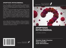 Bookcover of APOPTOSIS MITOCONDRIAL