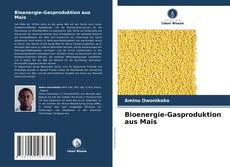 Buchcover von Bioenergie-Gasproduktion aus Mais