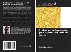 Bookcover of Producción de bioenergía-gasol a partir del maíz de escoba