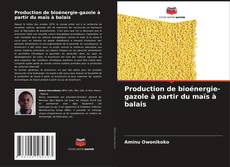 Portada del libro de Production de bioénergie-gazole à partir du maïs à balais