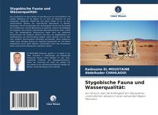 Stygobische Fauna und Wasserqualität: kitap kapağı