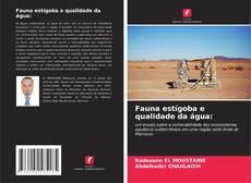 Bookcover of Fauna estígoba e qualidade da água: