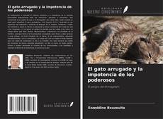 Capa do livro de El gato arrugado y la impotencia de los poderosos 