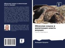 Bookcover of Облезлая кошка и импотенция власть имущих