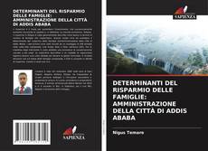 DETERMINANTI DEL RISPARMIO DELLE FAMIGLIE: AMMINISTRAZIONE DELLA CITTÀ DI ADDIS ABABA的封面