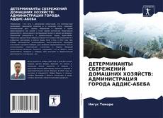 Couverture de ДЕТЕРМИНАНТЫ СБЕРЕЖЕНИЙ ДОМАШНИХ ХОЗЯЙСТВ: АДМИНИСТРАЦИЯ ГОРОДА АДДИС-АБЕБА