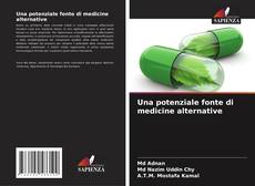 Capa do livro de Una potenziale fonte di medicine alternative 