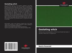 Borítókép a  Gestating witch - hoz