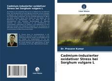 Couverture de Cadmium-induzierter oxidativer Stress bei Sorghum vulgare L