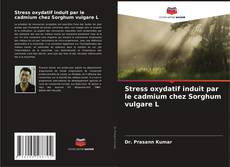 Bookcover of Stress oxydatif induit par le cadmium chez Sorghum vulgare L
