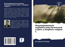 Обложка Индуцированный кадмием окислительный стресс у Sorghum vulgare L