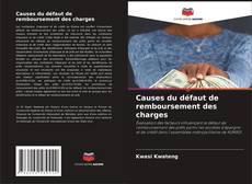 Bookcover of Causes du défaut de remboursement des charges