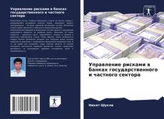 Buchcover von Управление рисками в банках государственного и частного сектора