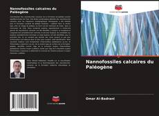 Buchcover von Nannofossiles calcaires du Paléogène