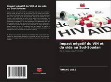 Impact négatif du VIH et du sida au Sud-Soudan kitap kapağı