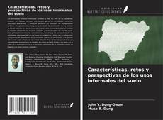 Bookcover of Características, retos y perspectivas de los usos informales del suelo