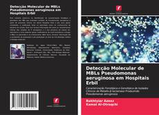 Detecção Molecular de MBLs Pseudomonas aeruginosa em Hospitais Erbil的封面