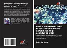 Rilevamento molecolare di MBLs Pseudomonas aeruginosa negli ospedali di Erbil的封面