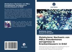 Portada del libro de Molekularer Nachweis von MBLs Pseudomonas aeruginosa in Krankenhäusern in Erbil