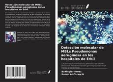 Capa do livro de Detección molecular de MBLs Pseudomonas aeruginosa en los hospitales de Erbil 
