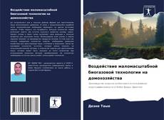 Capa do livro de Воздействие маломасштабной биогазовой технологии на домохозяйства 
