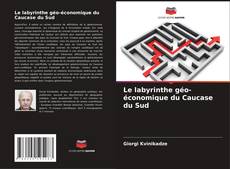 Le labyrinthe géo-économique du Caucase du Sud kitap kapağı