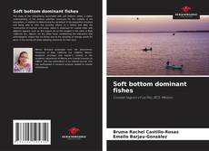 Bookcover of Soft bottom dominant fishes