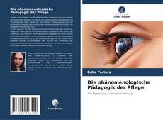 Capa do livro de Die phänomenologische Pädagogik der Pflege 