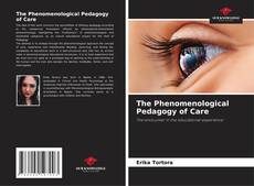 Copertina di The Phenomenological Pedagogy of Care
