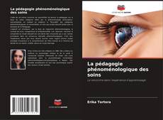 Bookcover of La pédagogie phénoménologique des soins