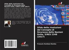 Sfide delle risoluzioni del Consiglio di Sicurezza delle Nazioni Unite, S/RES 2348 (2017) kitap kapağı