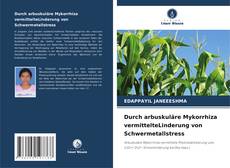 Durch arbuskuläre Mykorrhiza vermittelteLinderung von Schwermetallstress kitap kapağı