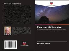 Bookcover of L'univers stationnaire
