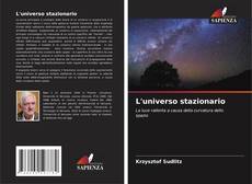 Bookcover of L'universo stazionario