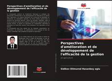Bookcover of Perspectives d'amélioration et de développement de l'efficacité de la gestion