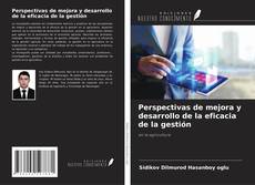 Capa do livro de Perspectivas de mejora y desarrollo de la eficacia de la gestión 