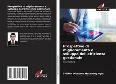 Buchcover von Prospettive di miglioramento e sviluppo dell'efficienza gestionale
