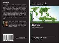 Biodiésel: kitap kapağı