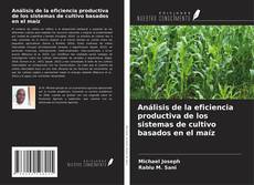 Capa do livro de Análisis de la eficiencia productiva de los sistemas de cultivo basados en el maíz 